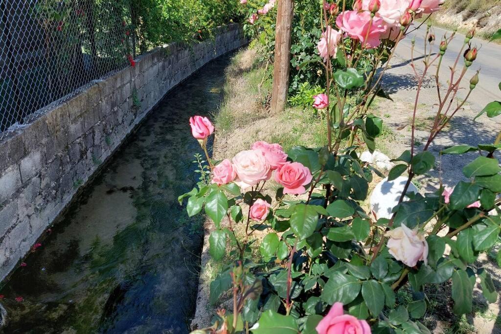 La Huerta Del Castillo Con Su Caz De Agua - Enjoy Life & Relax Castillo de Locubín 외부 사진