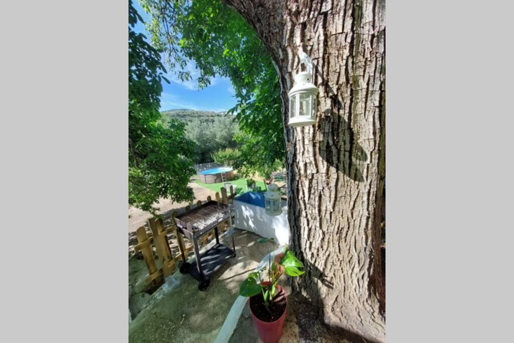 La Huerta Del Castillo Con Su Caz De Agua - Enjoy Life & Relax Castillo de Locubín 외부 사진