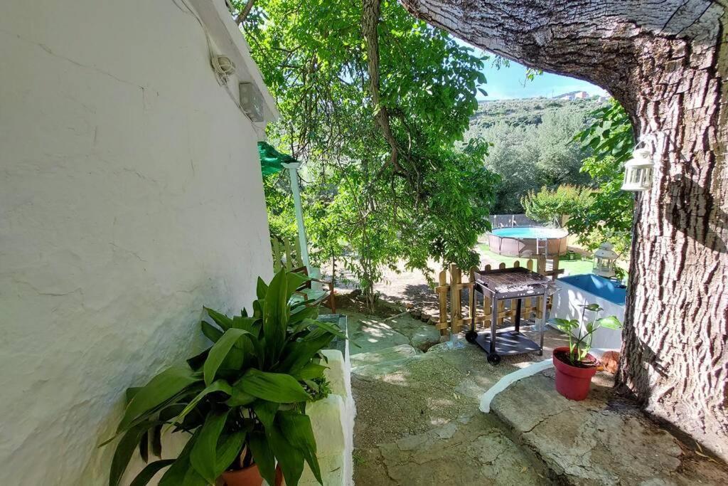 La Huerta Del Castillo Con Su Caz De Agua - Enjoy Life & Relax Castillo de Locubín 외부 사진